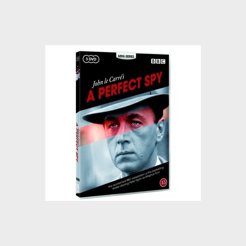 A Perfect Spy