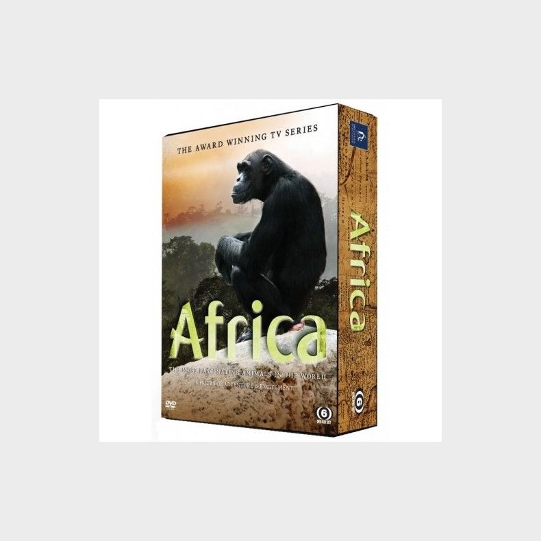 Africa Box