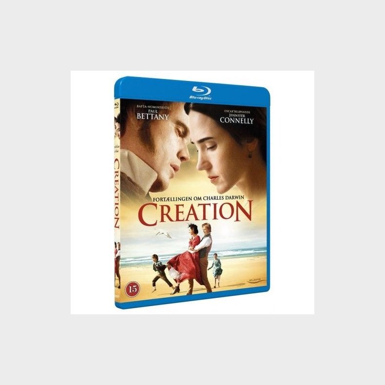 CREATION   BD